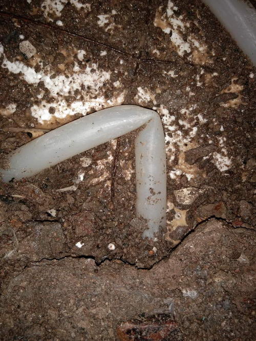 茂县堵点精准查找